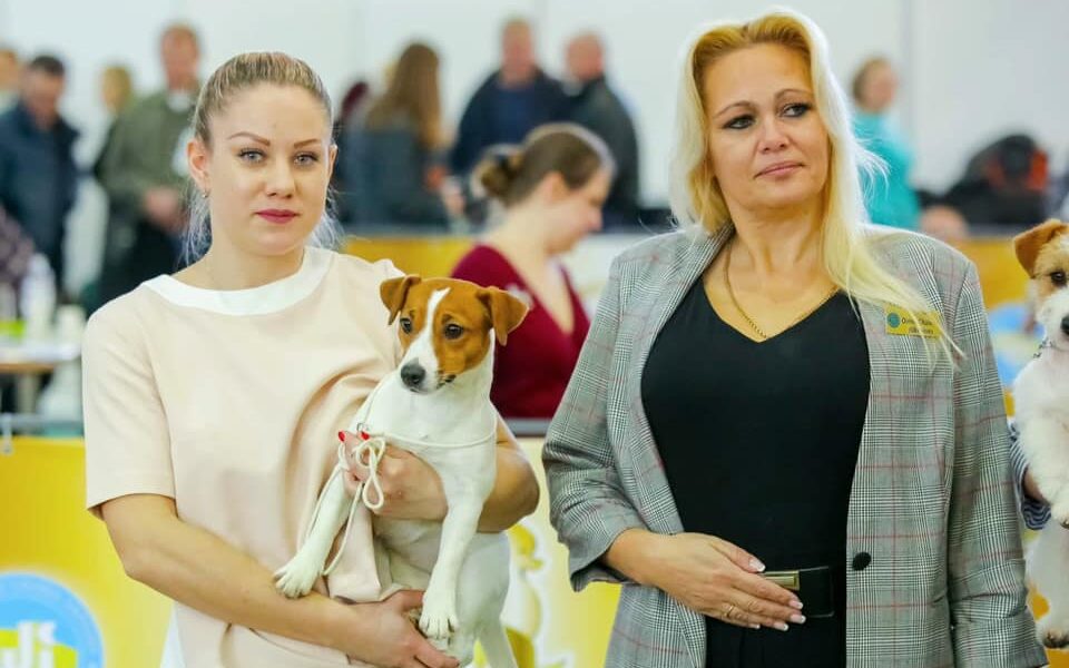 УВАГА! ДАТИ ПРОВЕДЕННЯ ВИСТАВОК ЗМІНЕНО!