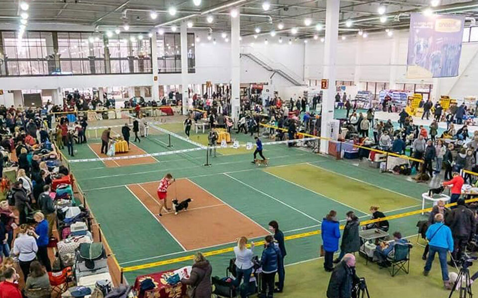 Розклад роботи в рингах 13-14 березня