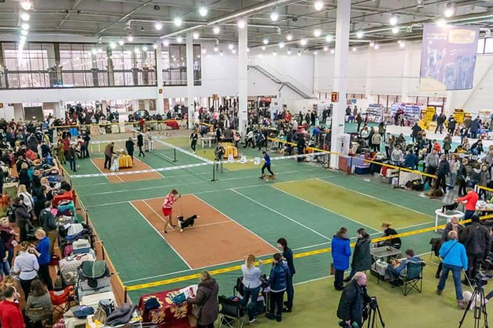 Розклад виставки 26-27.02.22