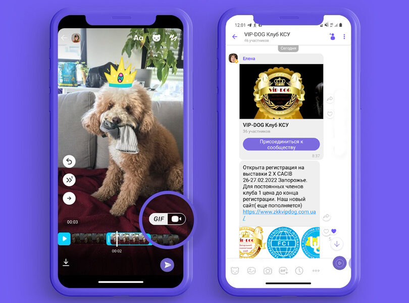 ЗАПРОШУЄМО ДО ЧАТУ VIBER VIP-DOG КЛУБ КСУ