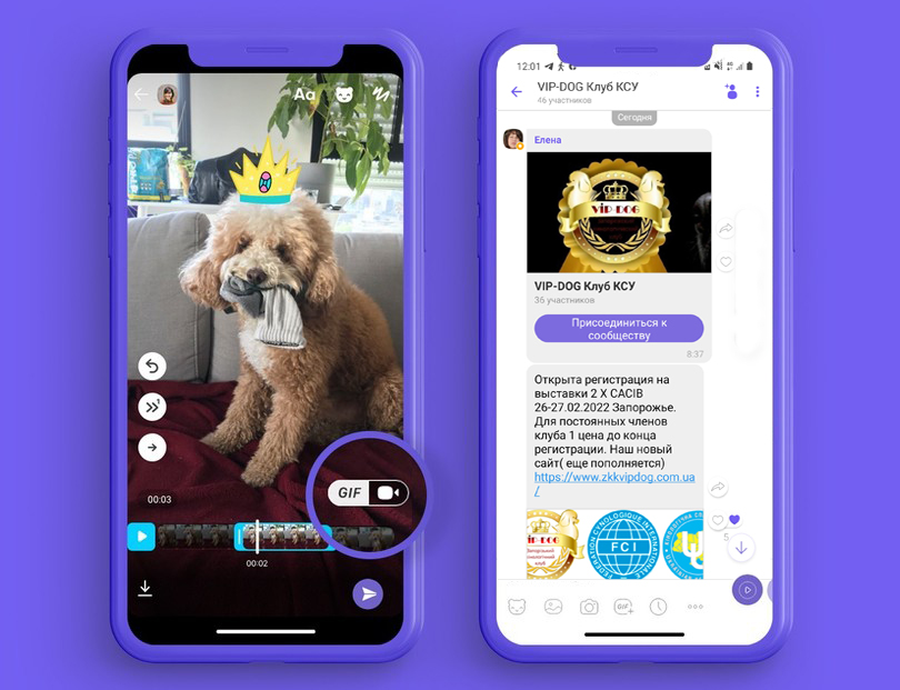 ЗАПРОШУЄМО ДО ЧАТУ VIBER VIP-DOG КЛУБ КСУ