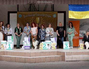 Роз’яснення нових тимчасових правил оформлення ЮЧУ та ЧВУ